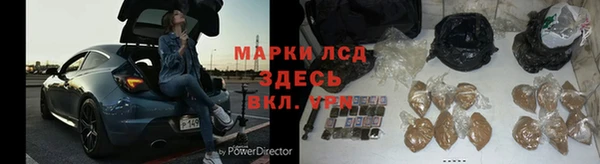 индика Абинск