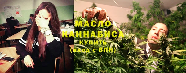 индика Абинск
