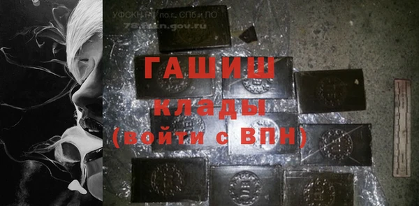 индика Абинск