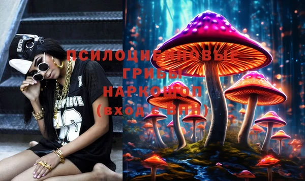 скорость Абаза