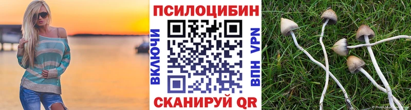 Галлюциногенные грибы Psilocybe  Хабаровск 