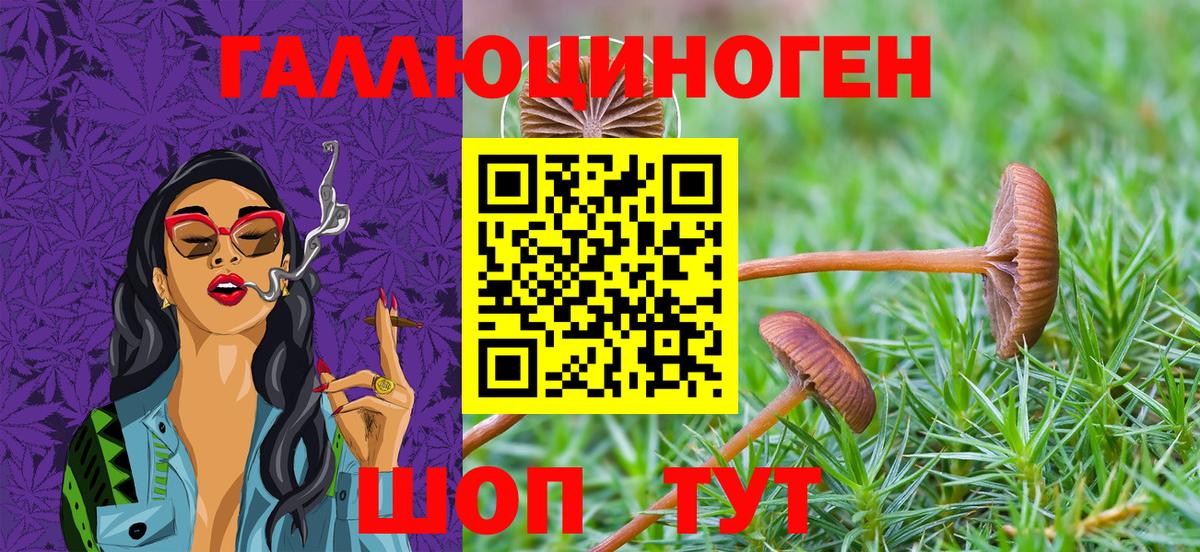 Псилоцибиновые грибы Cubensis  Галлюциногенные грибы MAGIC MUSHROOMS  Вход с VPN  Хабаровск 