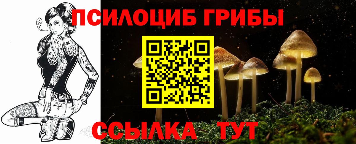 Псилоцибиновые грибы Magic Shrooms Хабаровск